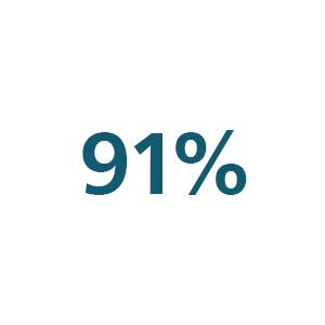 Icona 91%