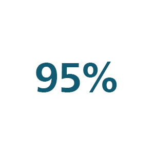 Icona 95%