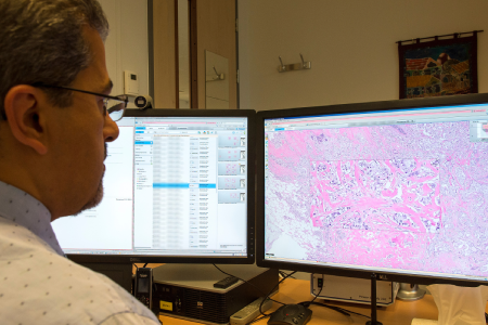 immagine specialit&agrave; mediche patologiche