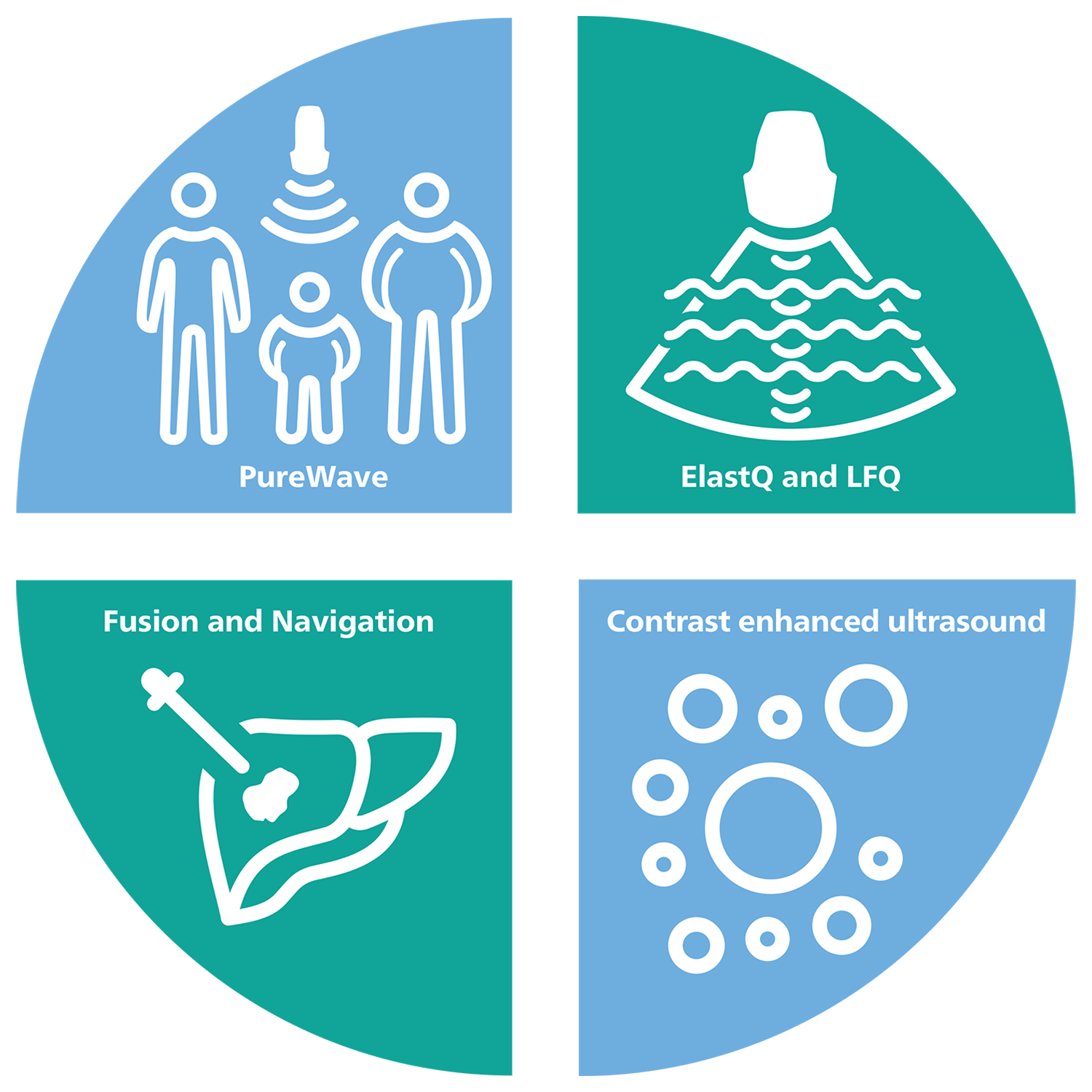 Grafico blu e verde delle propriet&agrave; dell'apparecchiatura per ecografia del fegato