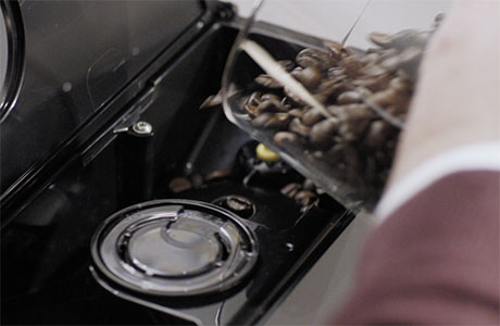 Riempimento del contenitore dei chicchi di caff&egrave;