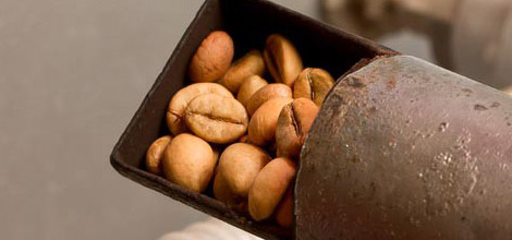 Chicchi tostati - Le tostature pi&ugrave; intense riducono la caffeina