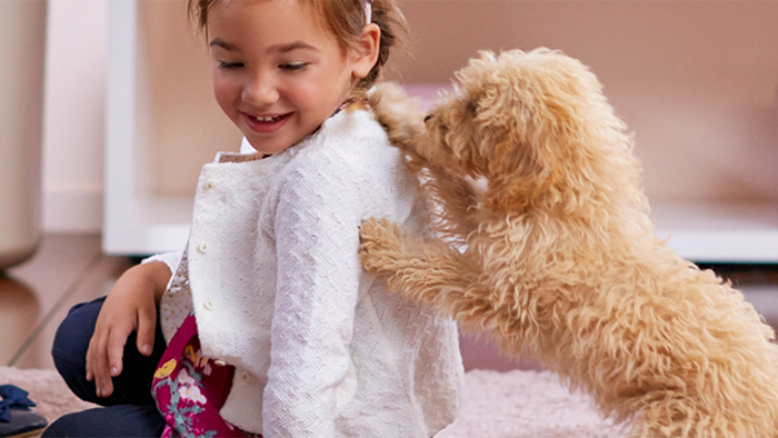 Come lavare un tappeto in modo facile