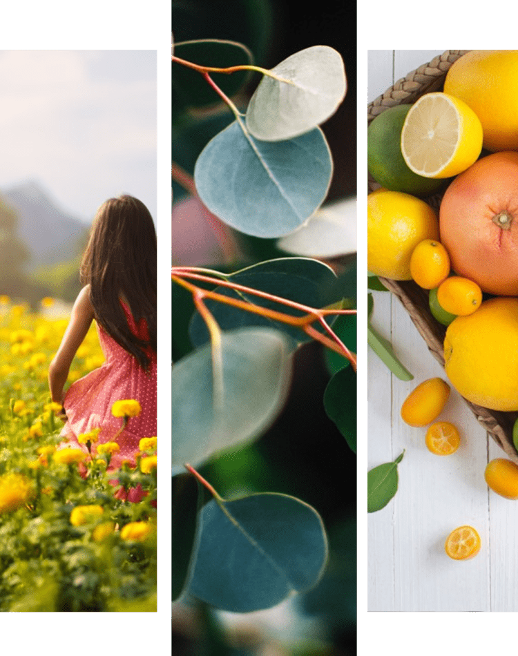 mappatura dell'umore