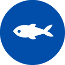 Fish icon
