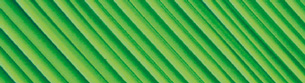 un primo piano di una superficie verde