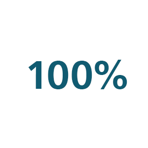 Icona 100%