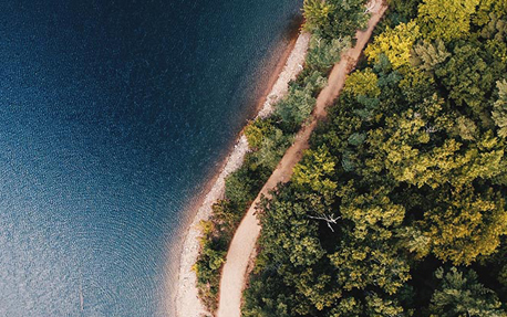 Uno striscione con una veduta aerea delle cime degli alberi e dell'oceano per presentare i piani di sostenibilit&agrave; di Philips