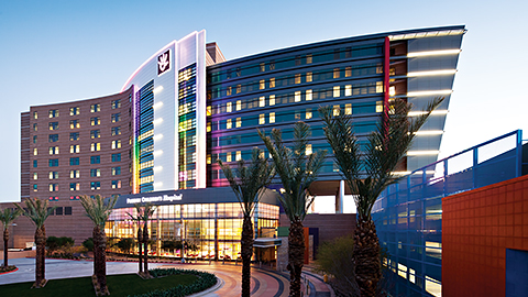 Philips integrates Radiology and Cardiology IT platforms as part of a &euro;multi-million 10-year contract in Ireland